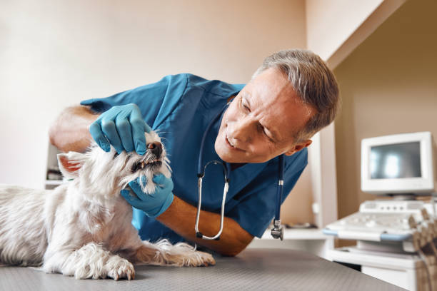 Best Emergency Tooth Extraction in Simpson, PA